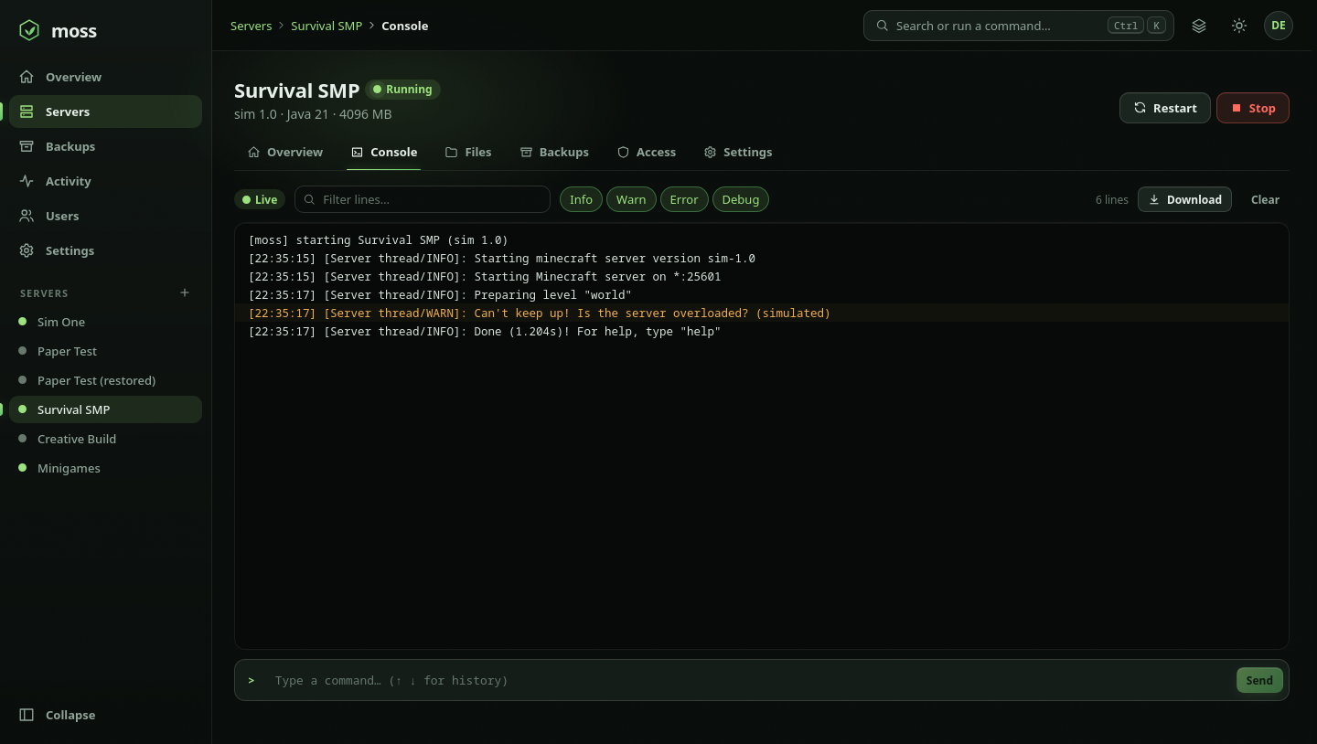 Live console screenshot