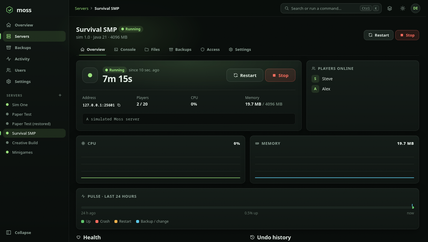 Server overview screenshot